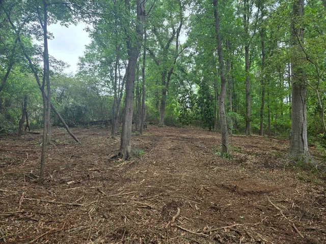 $60,000 | Pepper Street, Central, SC 29630