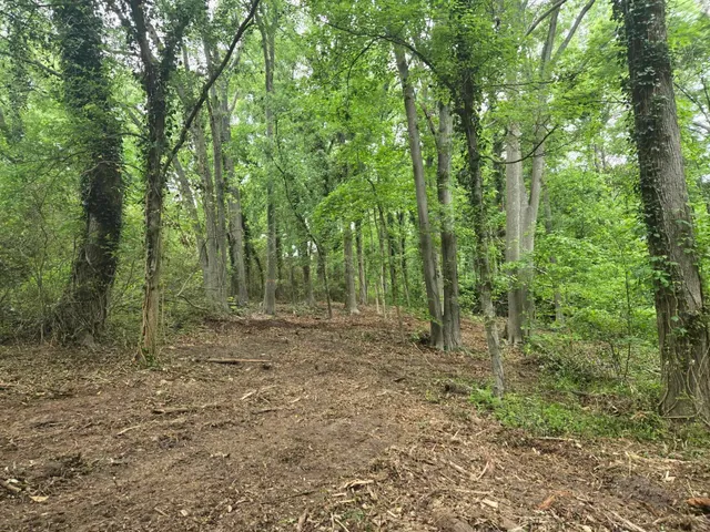 $60,000 | Pepper Street, Central, SC 29630