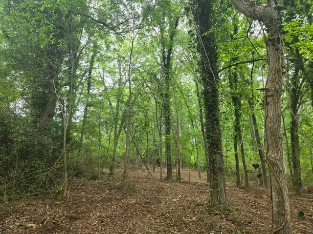 $60,000 | Pepper Street, Central, SC 29630