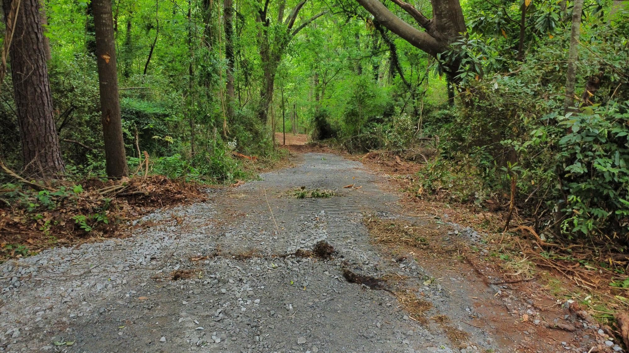 Pepper Street Central, SC 29630 - Photo 9 of 12