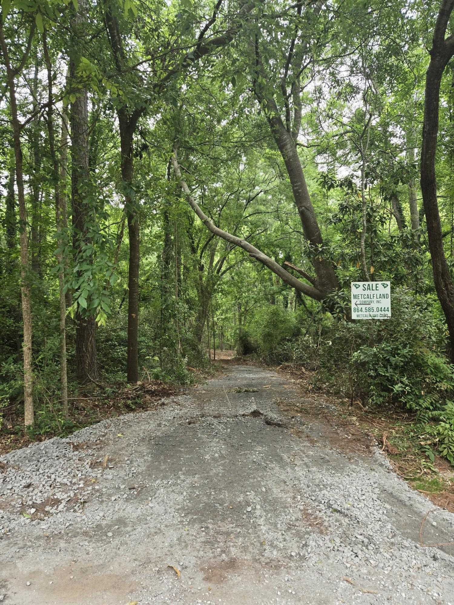Pepper Street Central, SC 29630 - Photo 10 of 12