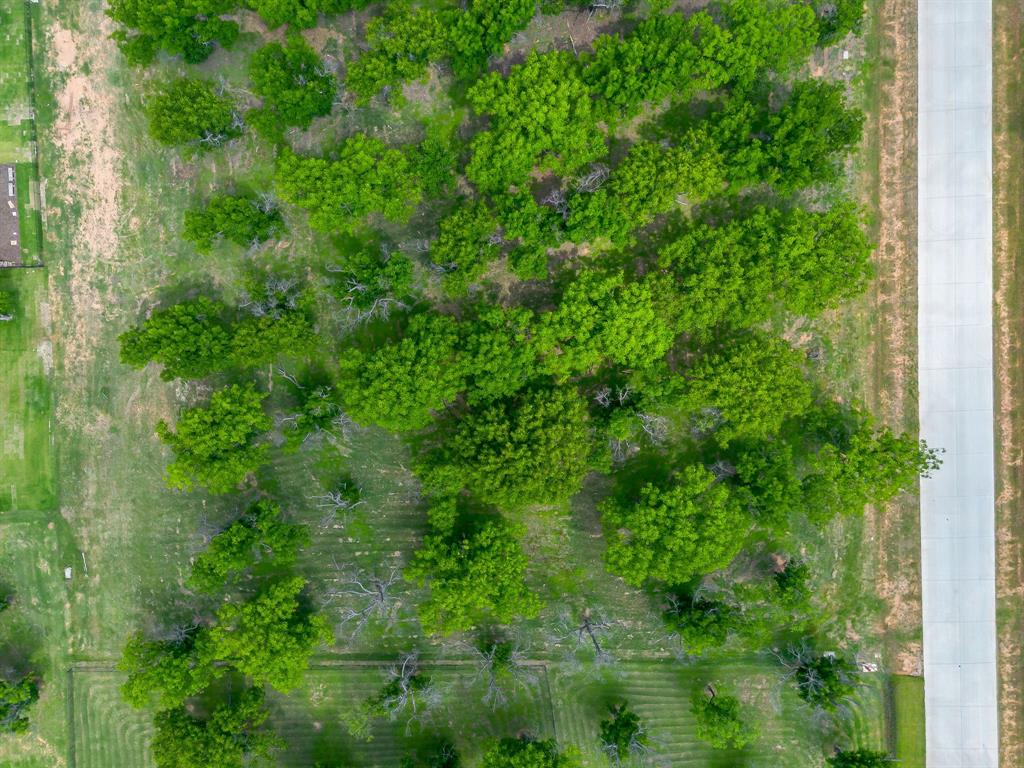 2184 West Landings Road North Granbury, TX 76049 - Photo 12 of 21