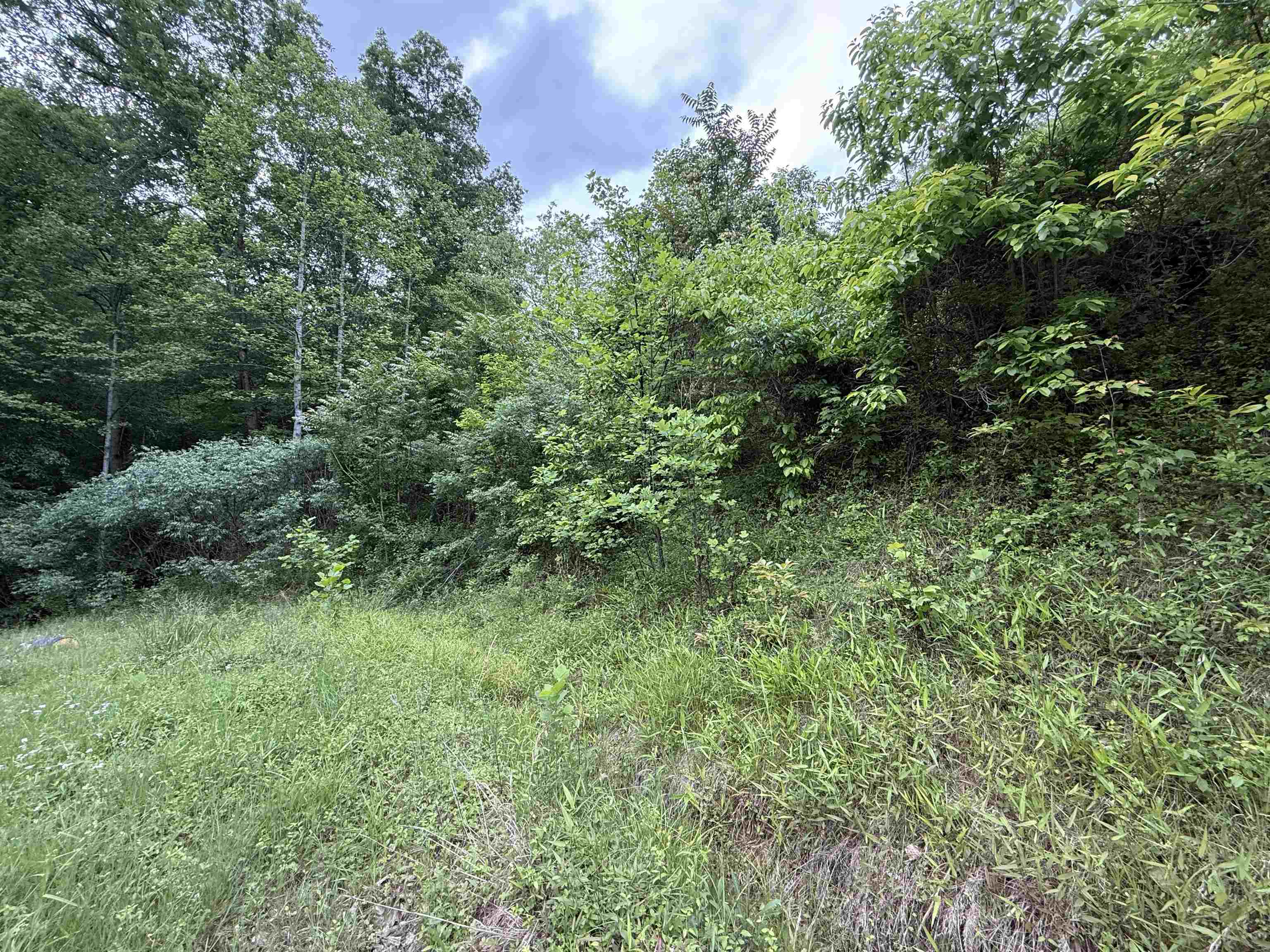 58 Stout Creek Road Branchland, WV 25506 - Photo 11 of 13