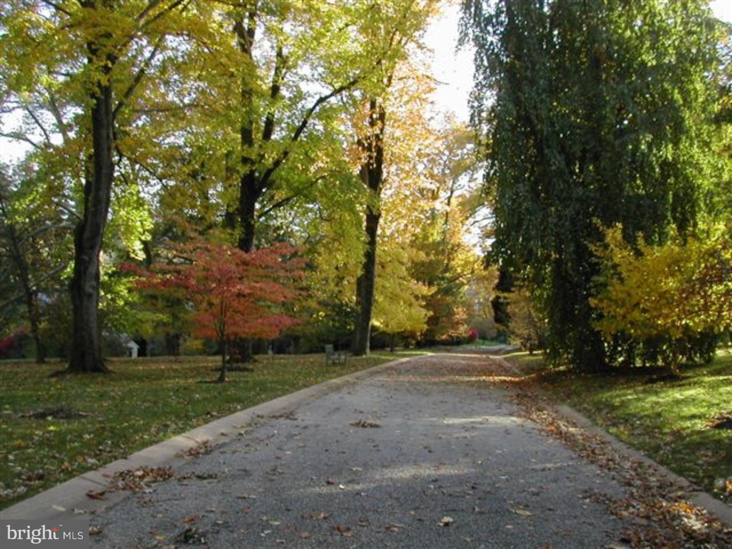 1211 Denbigh Lane Wayne, PA 19087 - Photo 17 of 19