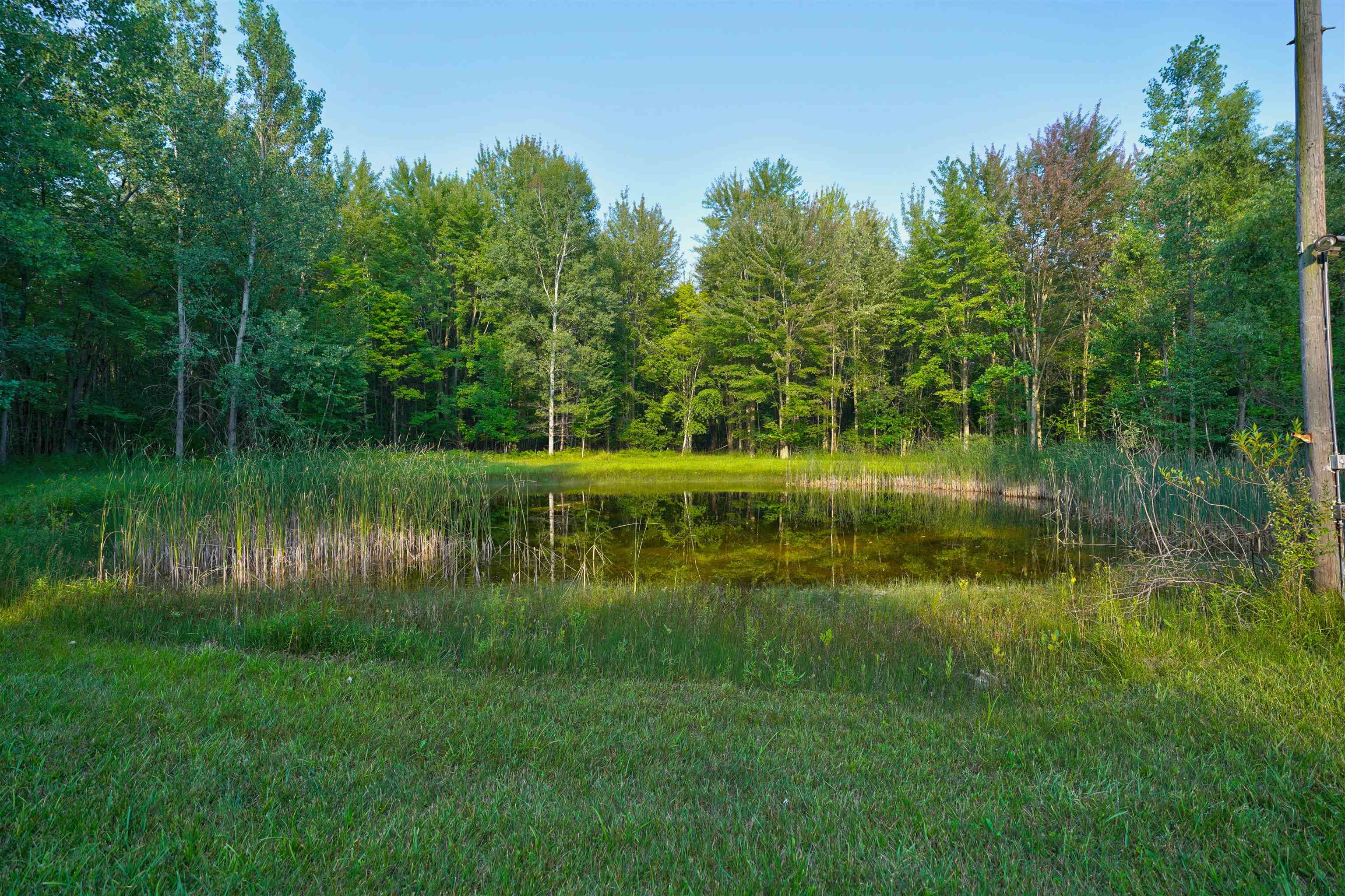 4790 North Flajole Road Rhodes, MI 48652 - Photo 13 of 41