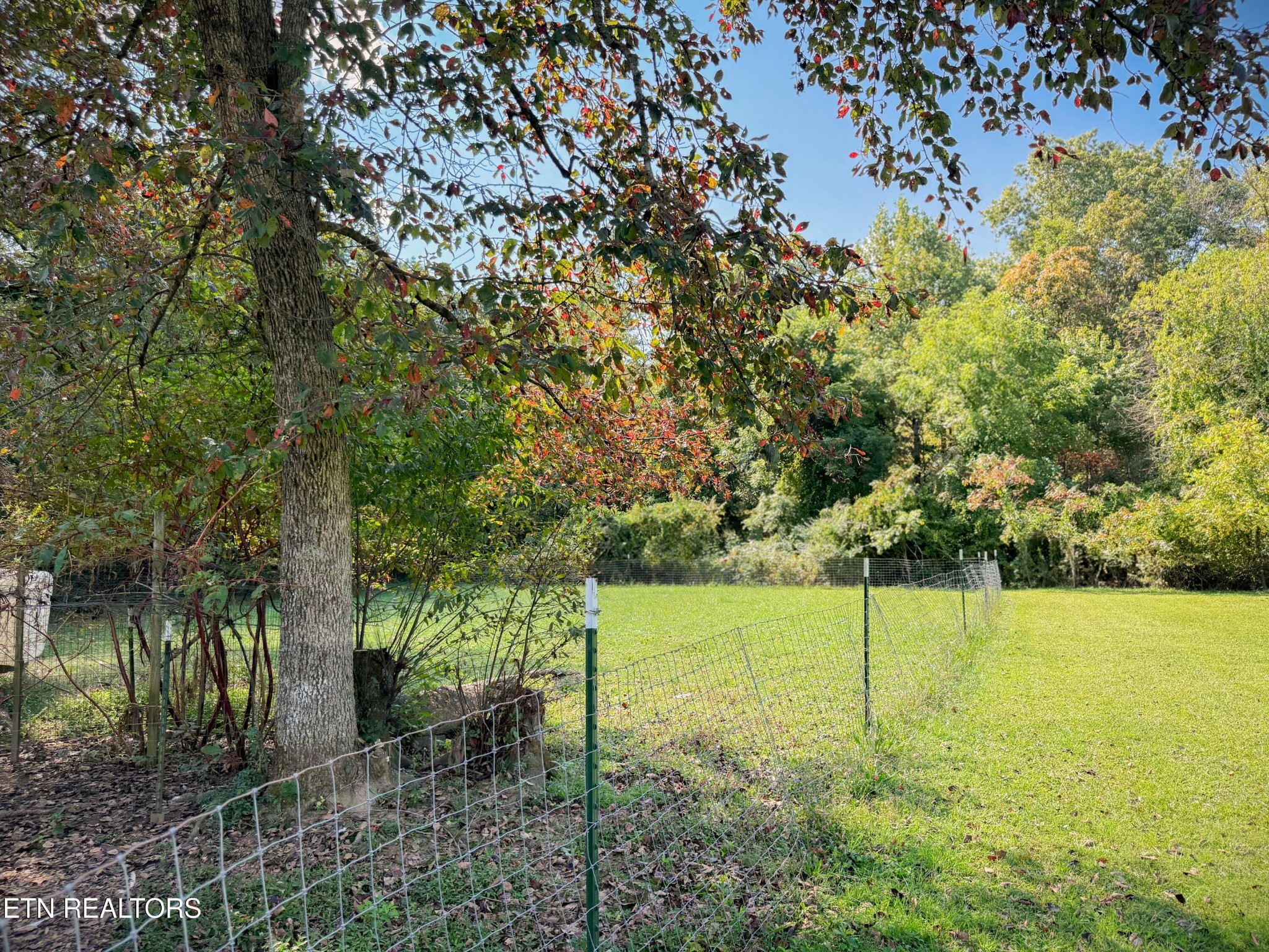 7055 Plateau Road Crossville, TN 38571 - Photo 44 of 48 Gallery Image 44