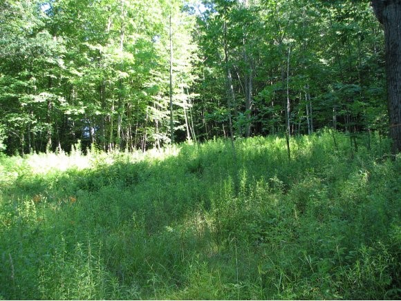 57-1 Old Chesterfield Road Chesterfield, NH 03462 - Photo 1 of 1