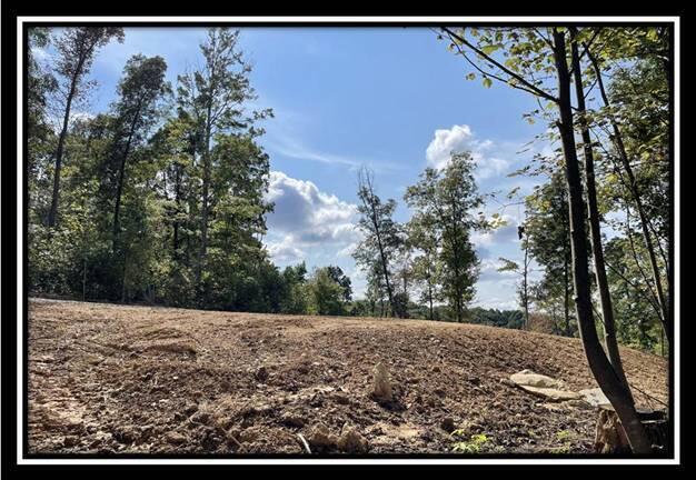 0 Clary Road, Unit TRACT 3) Ray, OH 45672 - Photo 31 of 45 image031
