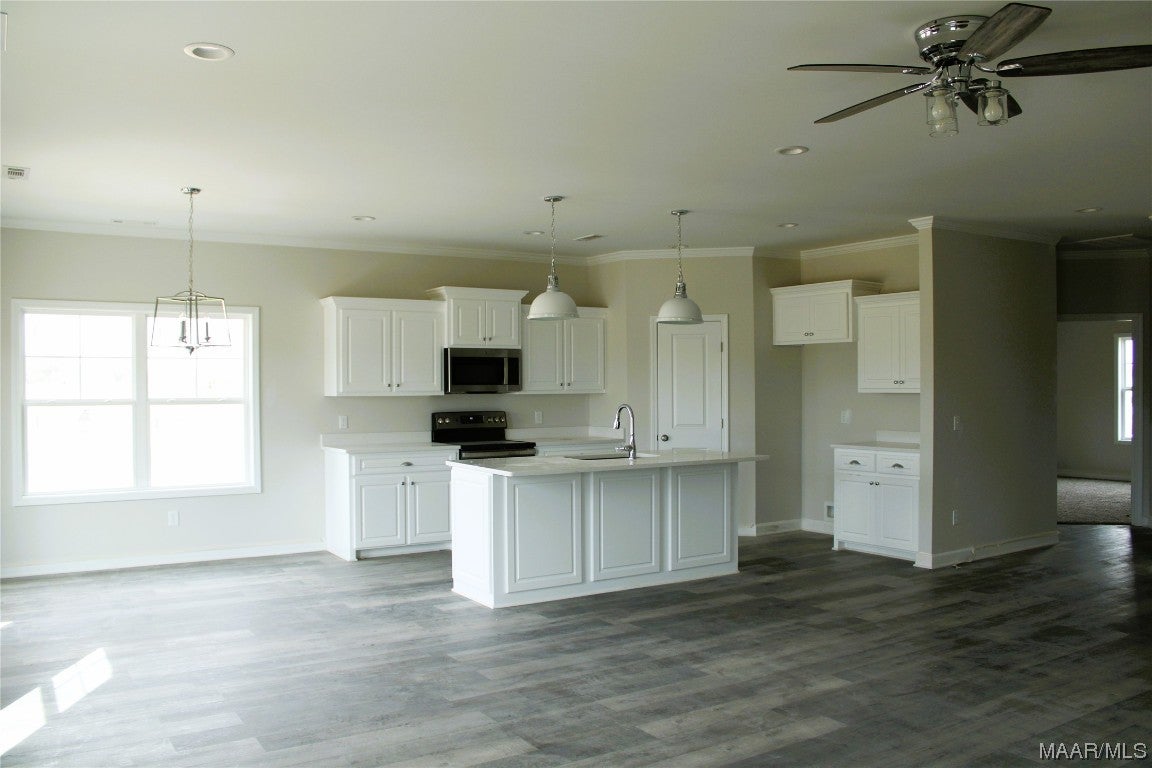 310 Adkinson Road Newton, AL 36352 - Photo 9 of 22 Gallery Image 9