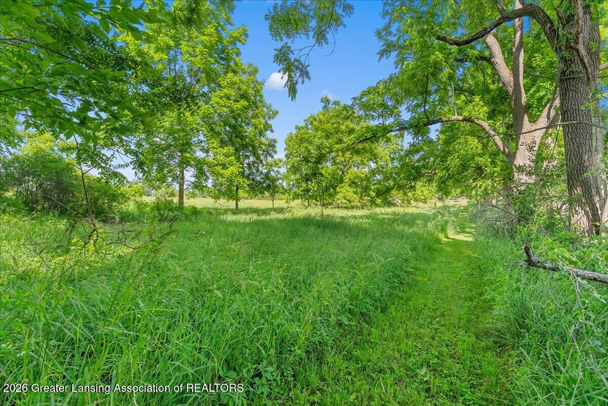 6340 North Hartel Road Potterville, MI 48876 - Photo 51 of 62
