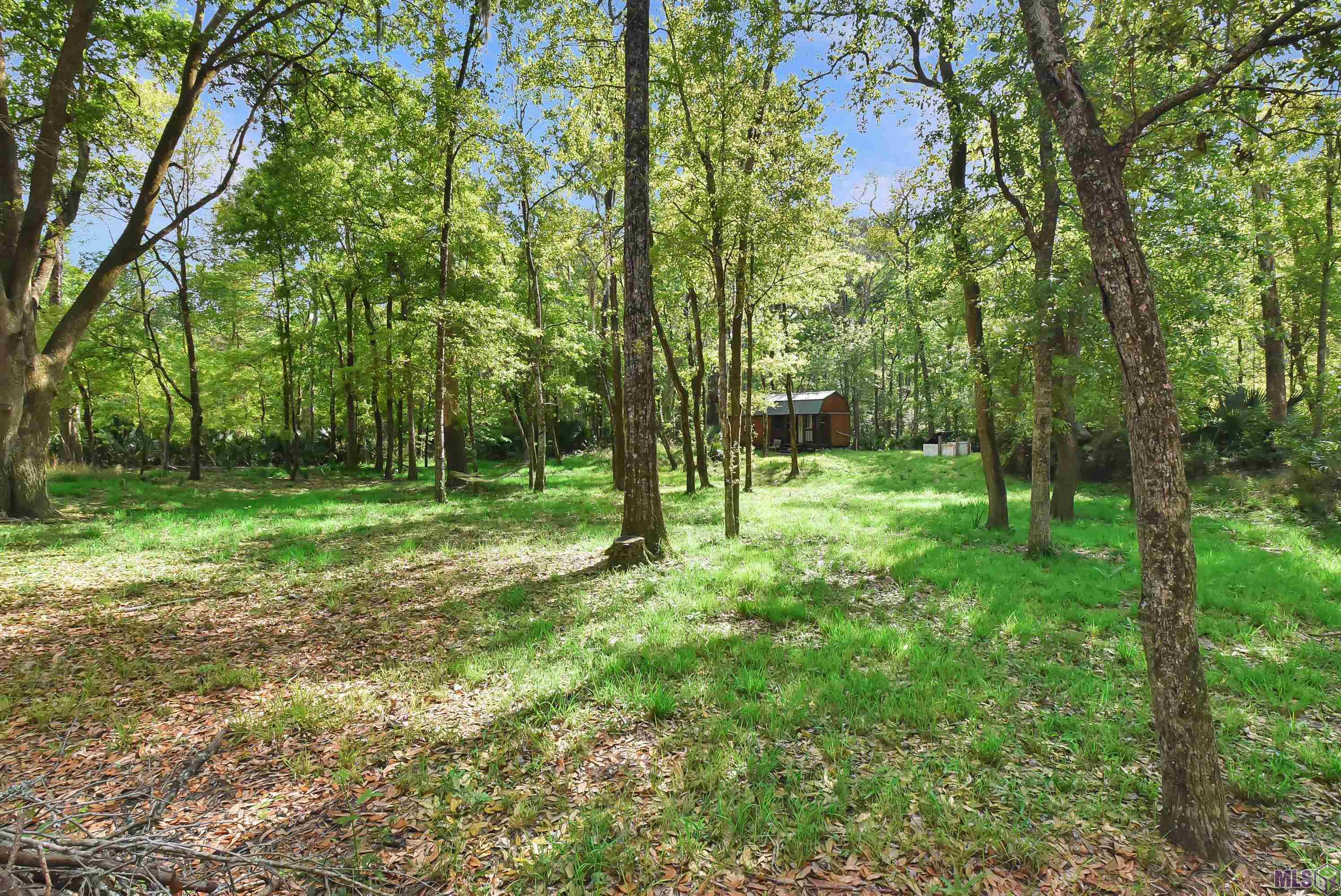 Lot 9 Unknown Prairieville, LA 70769 - Photo 12 of 20