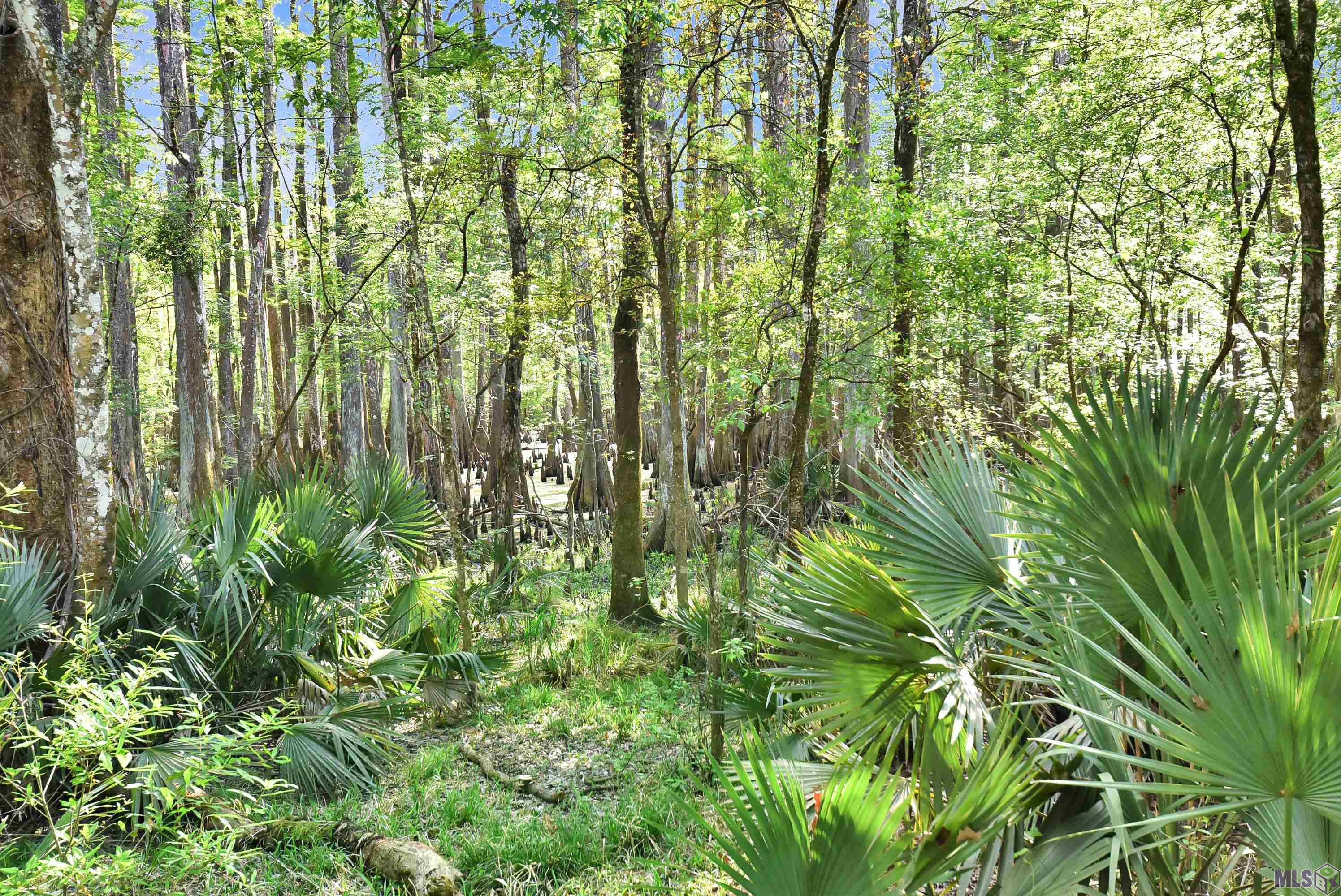 Lot 9 Unknown Prairieville, LA 70769 - Photo 17 of 20