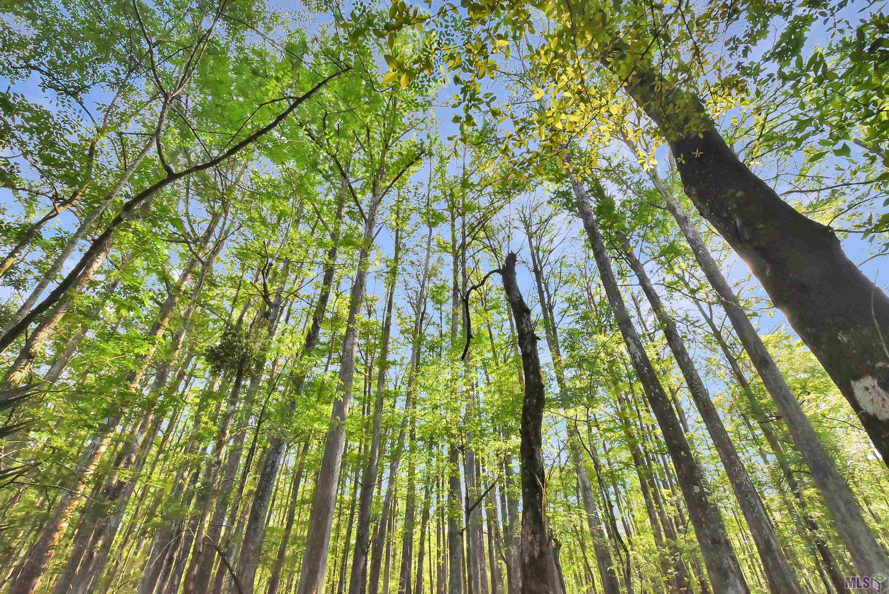 Lot 9 Unknown Prairieville, LA 70769 - Photo 19 of 20