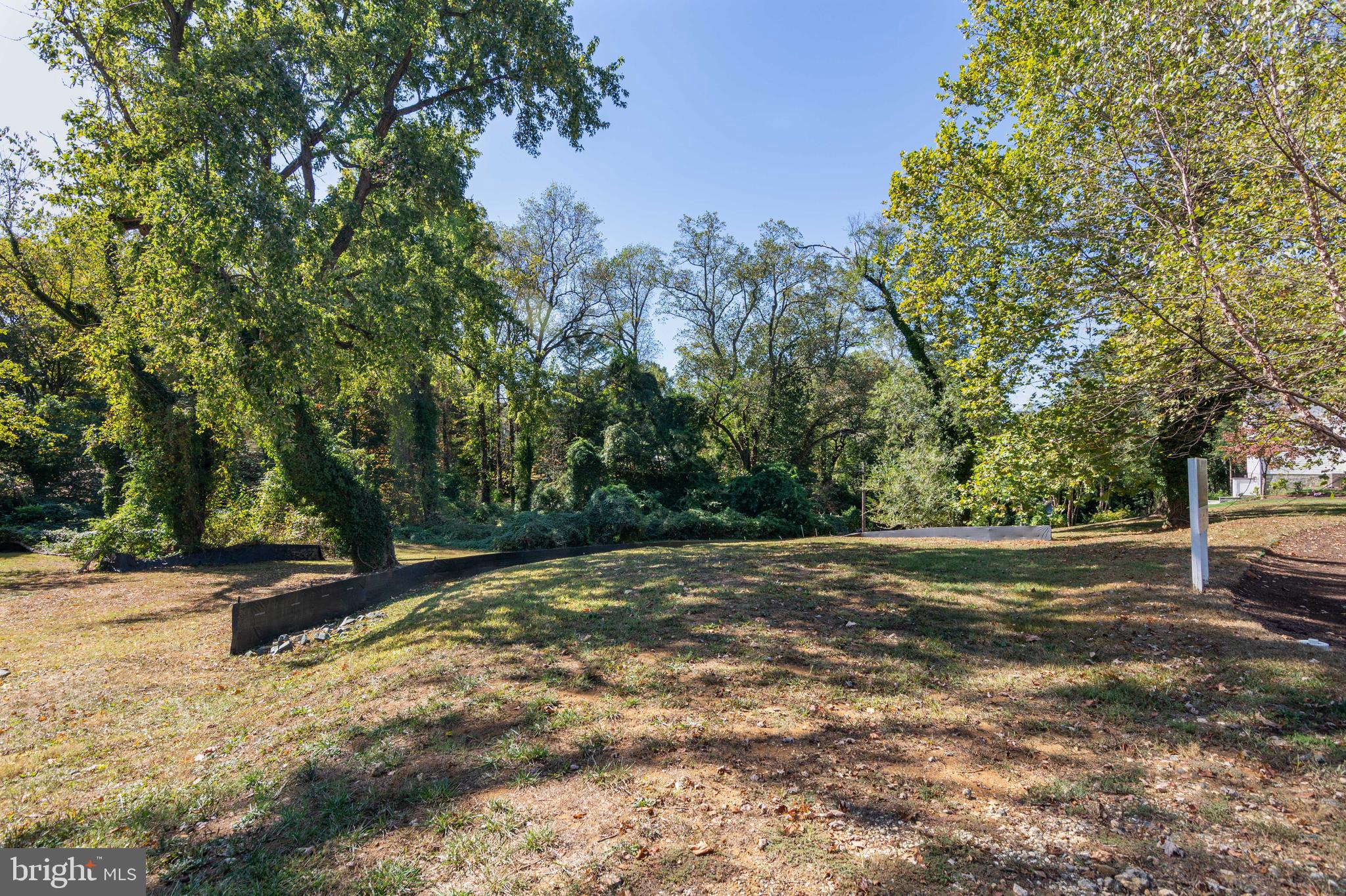Rogers Heights Road, Unit 2 Annapolis, MD 21401 - Photo 3 of 11 a view of a tree with a yard