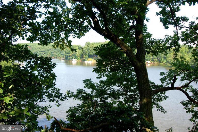 Rogers Heights Road, Unit 2 Annapolis, MD 21401 - Photo 4 of 11 a view of a tree in a forest