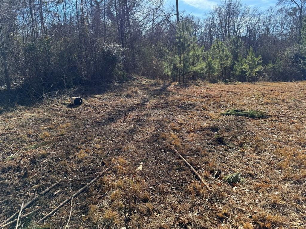 738 Old Mineral Springs Road Elberton, GA 30635 - Photo 11 of 37 a view of a dry yard with trees