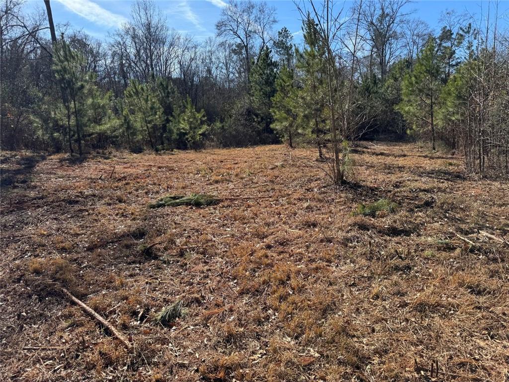738 Old Mineral Springs Road Elberton, GA 30635 - Photo 12 of 37 a view of a backyard with trees