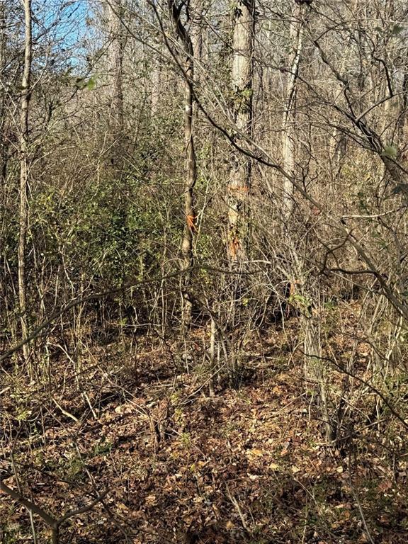 738 Old Mineral Springs Road Elberton, GA 30635 - Photo 13 of 37 a view of a yard