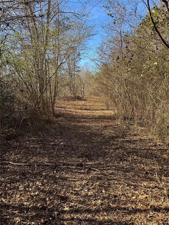 738 Old Mineral Springs Road Elberton, GA 30635 - Photo 14 of 37 a view of ocean view