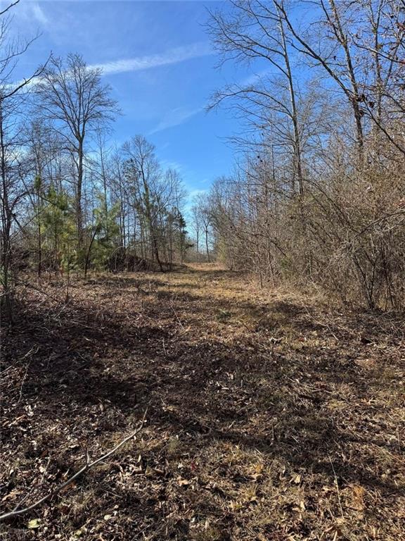 738 Old Mineral Springs Road Elberton, GA 30635 - Photo 15 of 37 a big yard with lots of green space