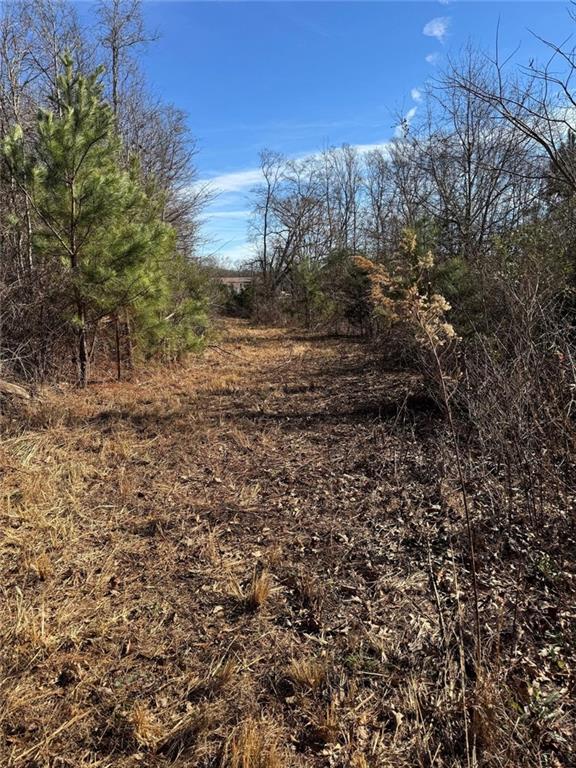 738 Old Mineral Springs Road Elberton, GA 30635 - Photo 17 of 37 a view of a yard with a tree