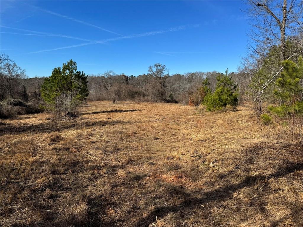 738 Old Mineral Springs Road Elberton, GA 30635 - Photo 18 of 37 a view of an outdoor space with mountain view