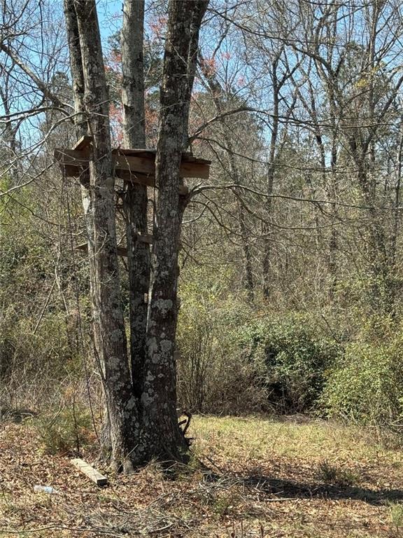738 Old Mineral Springs Road Elberton, GA 30635 - Photo 19 of 37 a view of a forest filled with trees