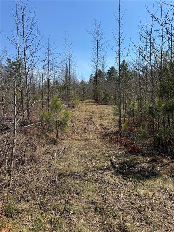 738 Old Mineral Springs Road Elberton, GA 30635 - Photo 20 of 37 a view of a yard covered with trees