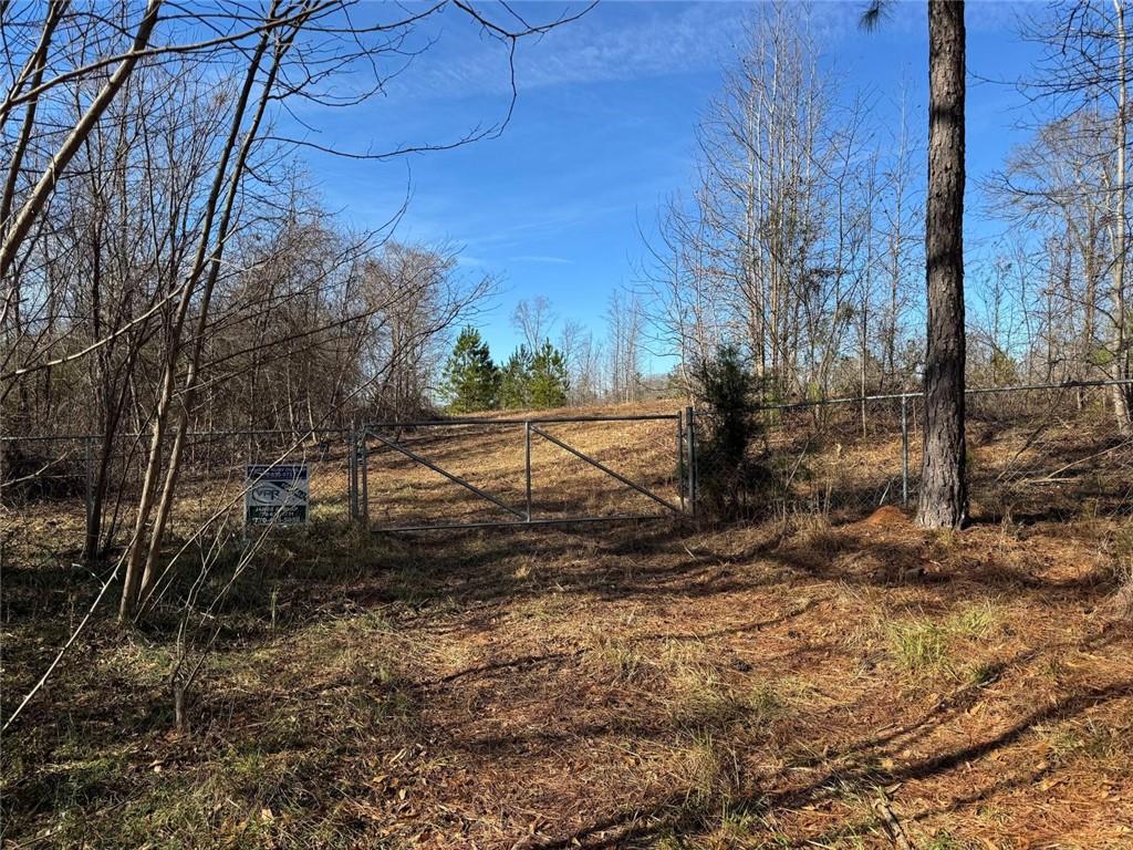 738 Old Mineral Springs Road Elberton, GA 30635 - Photo 2 of 37 a view of backyard and tree