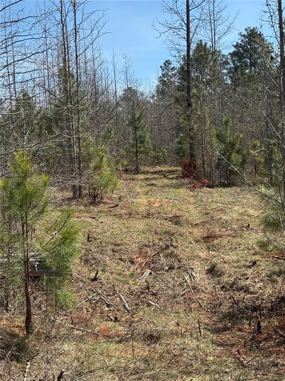 738 Old Mineral Springs Road Elberton, GA 30635 - Photo 21 of 37 a view of a yard with trees