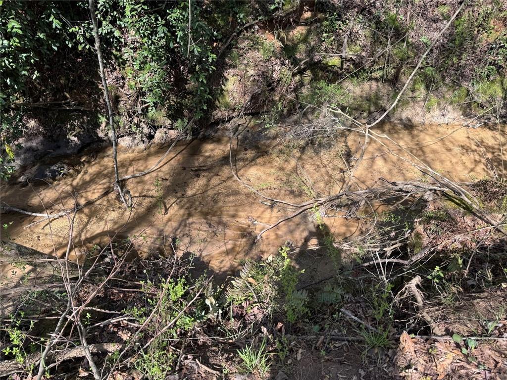 738 Old Mineral Springs Road Elberton, GA 30635 - Photo 22 of 37 a view of tree