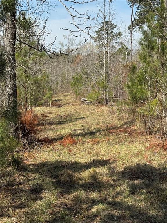 738 Old Mineral Springs Road Elberton, GA 30635 - Photo 26 of 37 a view of a yard with trees