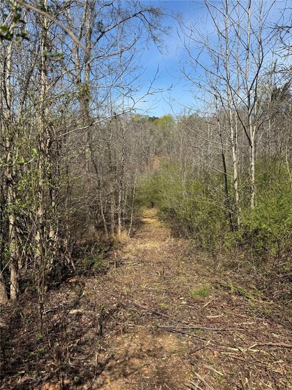 738 Old Mineral Springs Road Elberton, GA 30635 - Photo 27 of 37 a view of a yard with trees