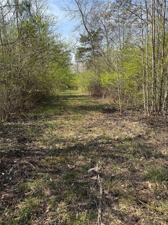 738 Old Mineral Springs Road Elberton, GA 30635 - Photo 28 of 37 a view of a yard