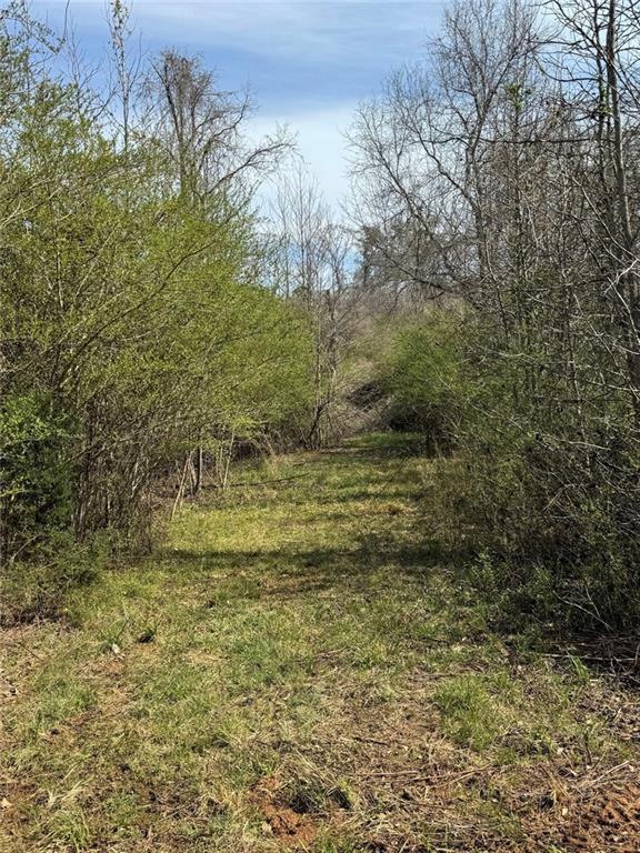738 Old Mineral Springs Road Elberton, GA 30635 - Photo 29 of 37 a view of a yard with an trees