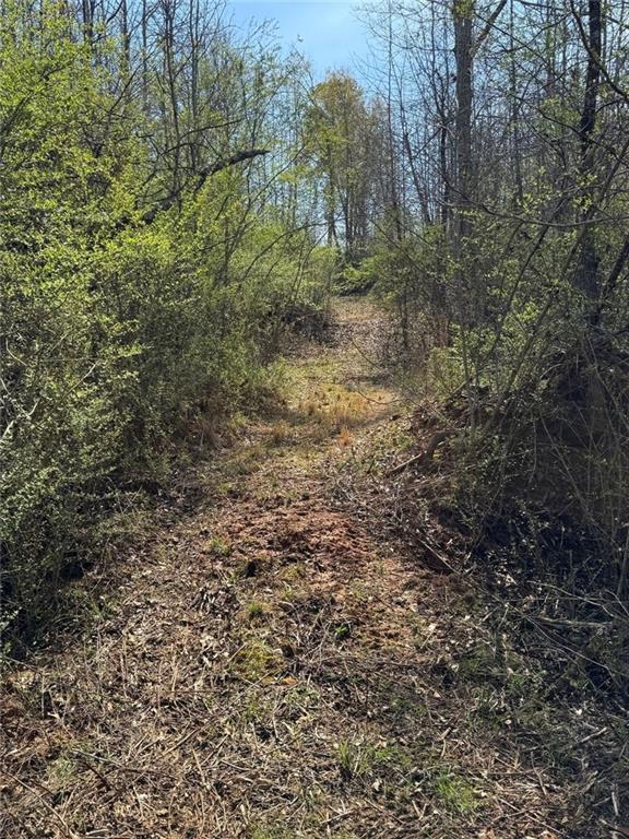738 Old Mineral Springs Road Elberton, GA 30635 - Photo 30 of 37 a view of a yard with a tree