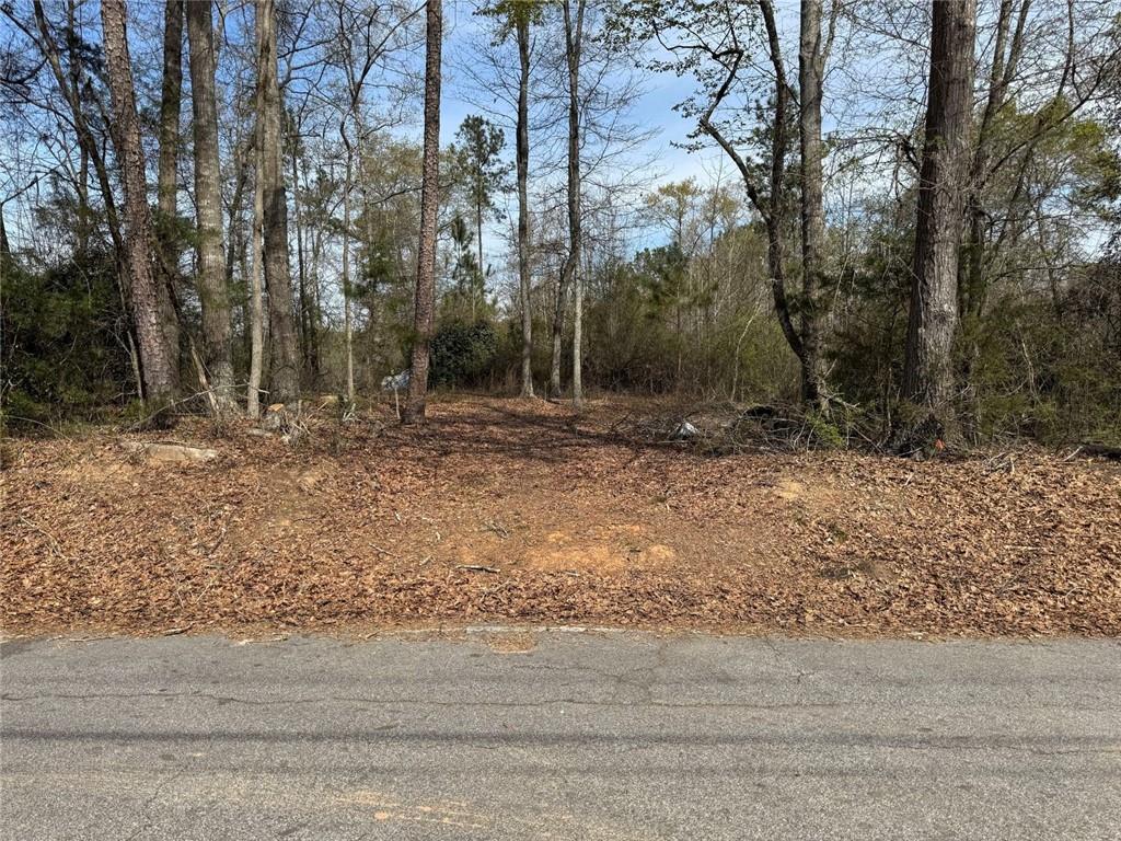 738 Old Mineral Springs Road Elberton, GA 30635 - Photo 3 of 37 a backyard of a house with lots of green space