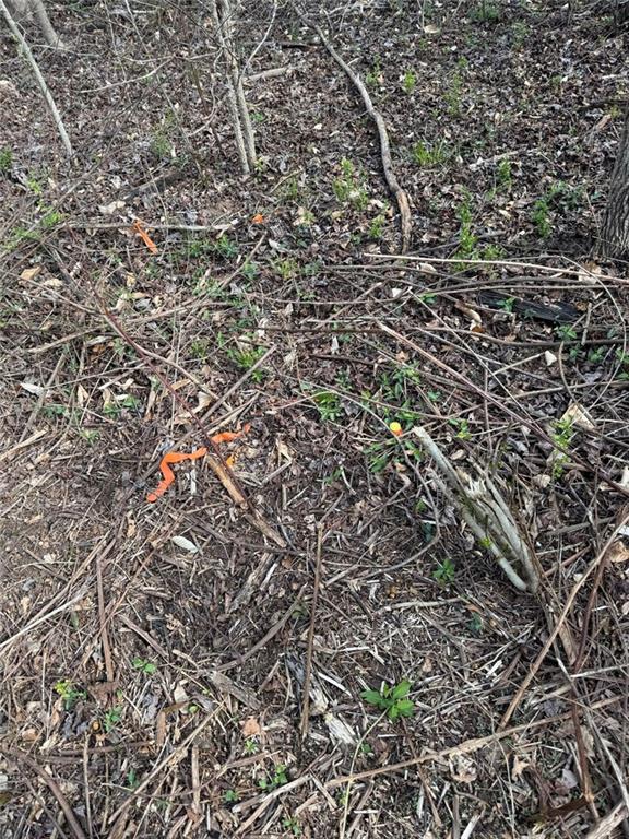 738 Old Mineral Springs Road Elberton, GA 30635 - Photo 32 of 37
