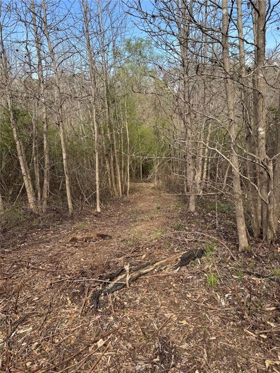 738 Old Mineral Springs Road Elberton, GA 30635 - Photo 33 of 37 a view of a yard with trees