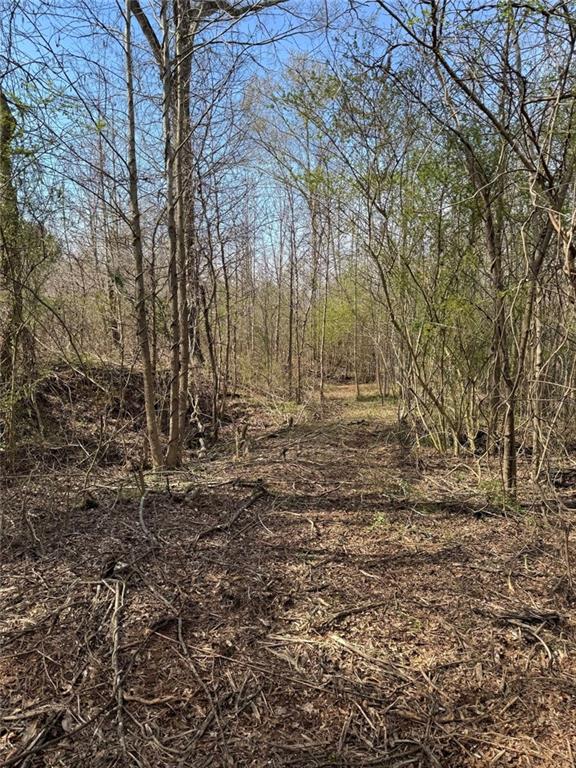 738 Old Mineral Springs Road Elberton, GA 30635 - Photo 35 of 37 a view of outdoor space with trees