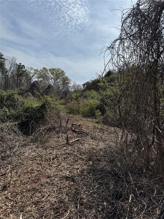 738 Old Mineral Springs Road Elberton, GA 30635 - Photo 37 of 37 a view of a field with lots of trees