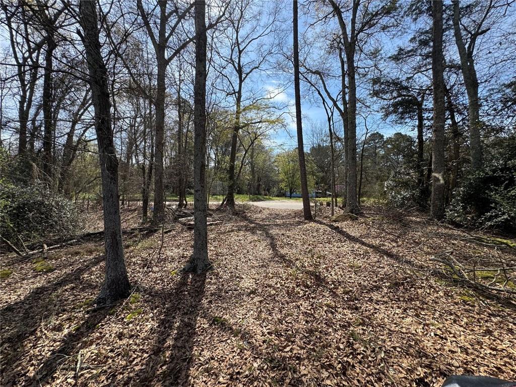 738 Old Mineral Springs Road Elberton, GA 30635 - Photo 4 of 37 a view of outdoor space with lots of trees