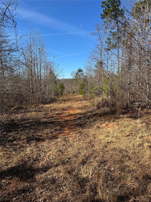 738 Old Mineral Springs Road Elberton, GA 30635 - Photo 5 of 37 a view of a field with trees