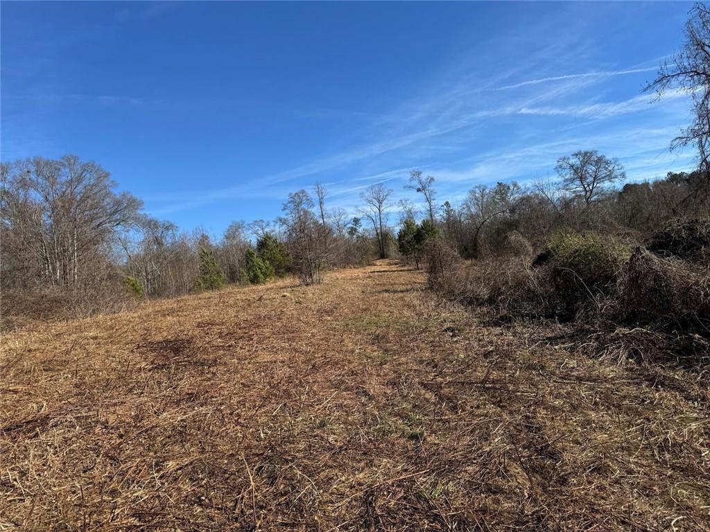 738 Old Mineral Springs Road Elberton, GA 30635 - Photo 6 of 37 a view of an outdoor space with mountain view