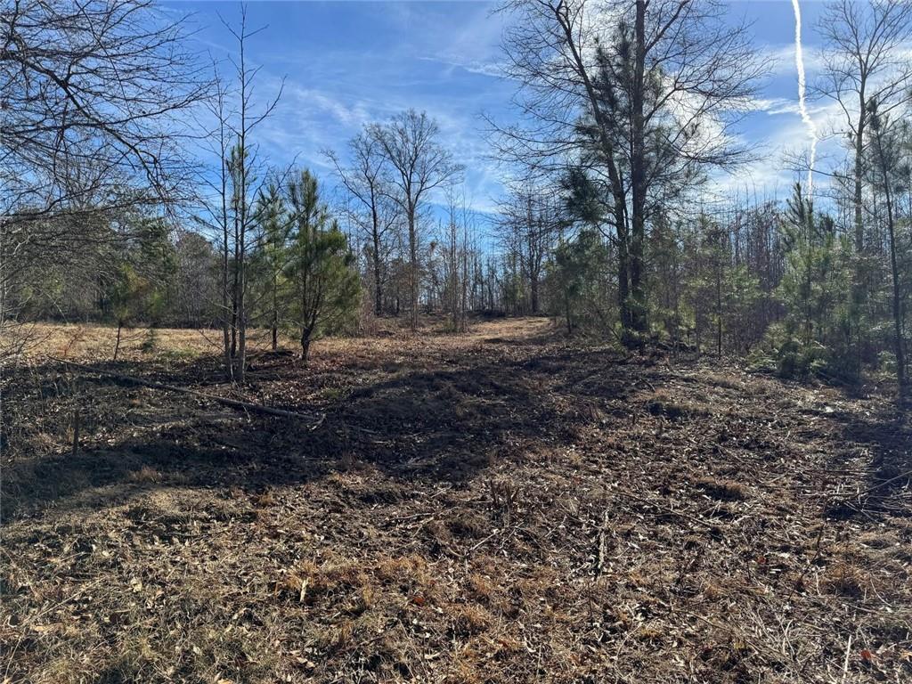738 Old Mineral Springs Road Elberton, GA 30635 - Photo 7 of 37 a big yard with lots of green space
