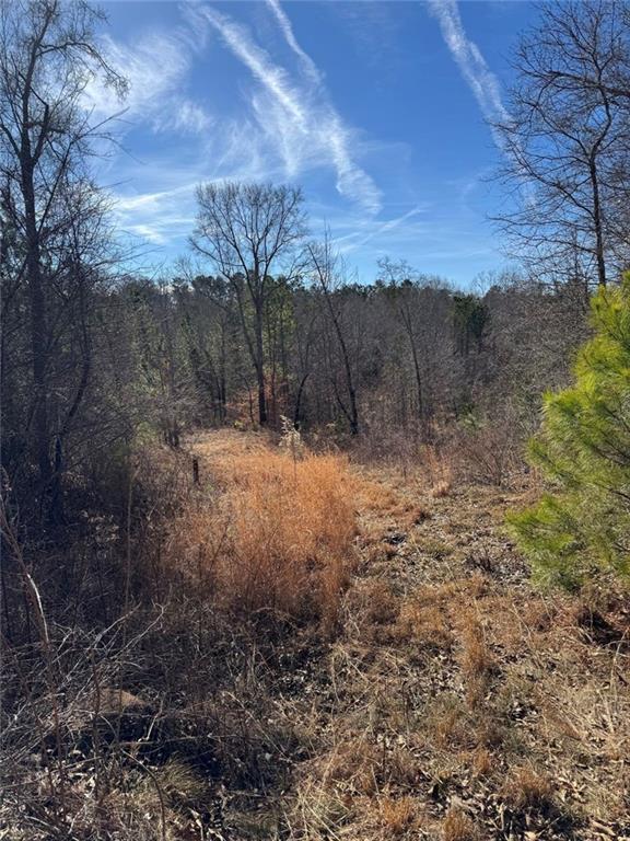 738 Old Mineral Springs Road Elberton, GA 30635 - Photo 8 of 37 a view of outdoor space and trees