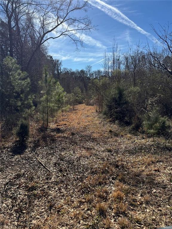 738 Old Mineral Springs Road Elberton, GA 30635 - Photo 9 of 37 a view of a yard