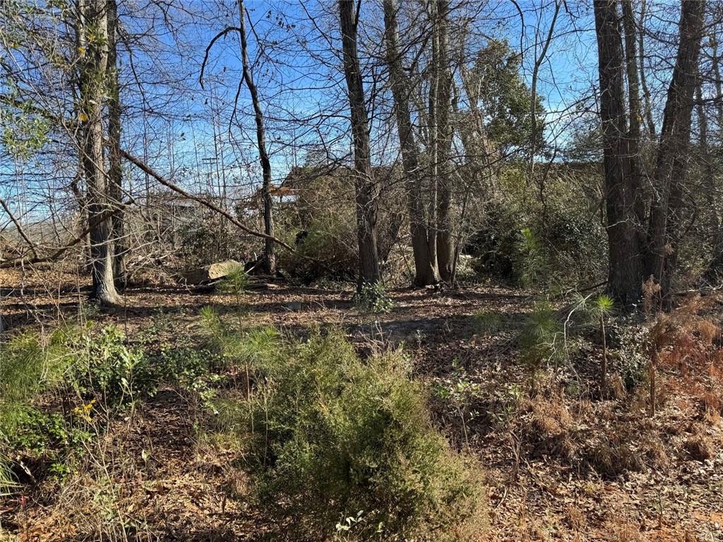 738 Old Mineral Springs Road Elberton, GA 30635 - Photo 10 of 37 a view of outdoor space with trees