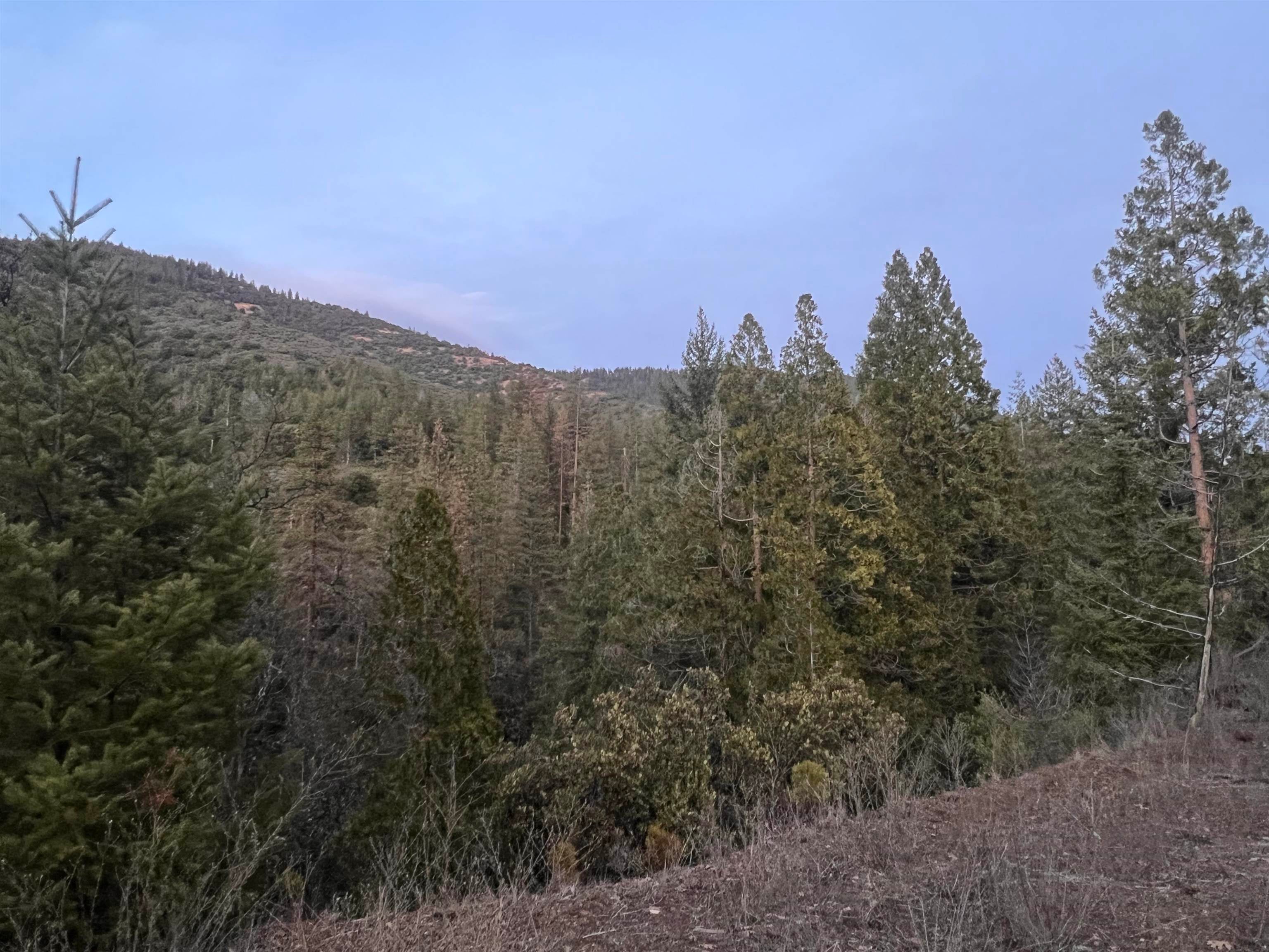 23109 McAdams Creek Road Fort Jones, CA 96032 - Photo 10 of 20 Gallery Image 10