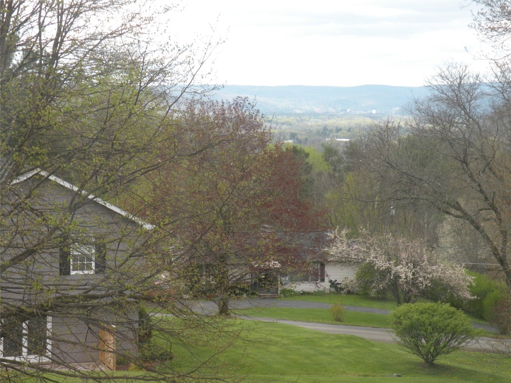 13 Michael Road Binghamton, NY 13901 - Photo 29 of 31 Gallery Image 29